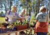 Master Gardeners host Native Azalea and Wildflower Sale