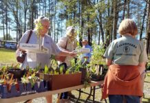 Master Gardeners host Native Azalea and Wildflower Sale
