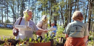 Master Gardeners host Native Azalea and Wildflower Sale