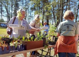 Master Gardeners host Native Azalea and Wildflower Sale