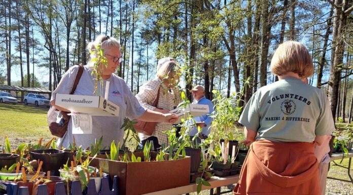 Master Gardeners host Native Azalea and Wildflower Sale