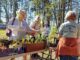 Master Gardeners host Native Azalea and Wildflower Sale