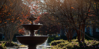 Local students named to Ole Miss Chancellor’s Honor Roll, Dean’s Honor Roll