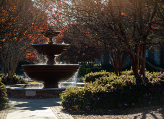 Local students named to Ole Miss Chancellor’s Honor Roll, Dean’s Honor Roll