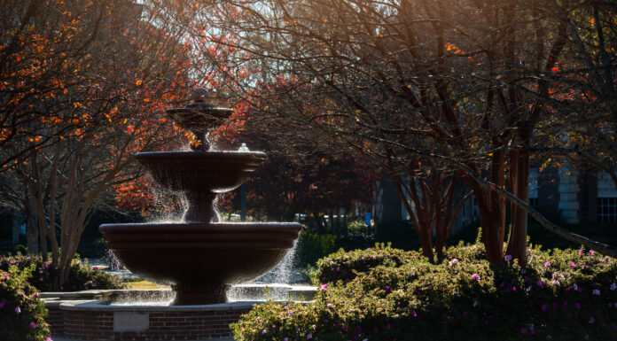 Local students named to Ole Miss Chancellor’s Honor Roll, Dean’s Honor Roll