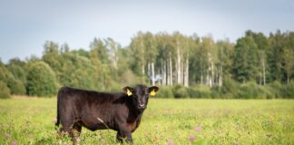 Alabama Extension awarded SARE grant to improve land-use efficiency and sustainability in Southeast