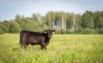 Alabama Extension awarded SARE grant to improve land-use efficiency and sustainability in Southeast