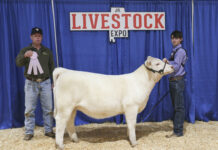 Cullman County youth shine at Alabama Jr. Livestock Expo