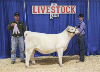 Cullman County youth shine at Alabama Jr. Livestock Expo