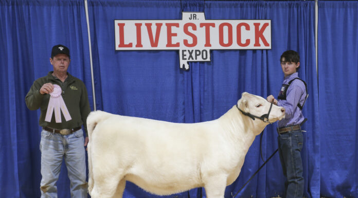 Cullman County youth shine at Alabama Jr. Livestock Expo
