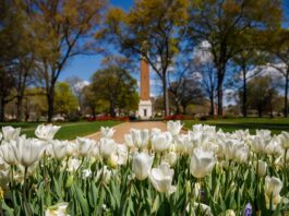 Alan Crisologo of Cullman elected to UA SGA