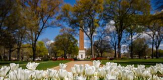 Alan Crisologo of Cullman elected to UA SGA