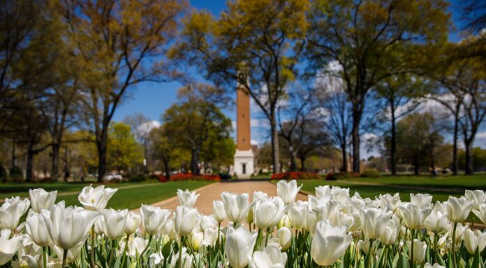 Alan Crisologo of Cullman elected to UA SGA