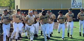 PREP BASEBALL: State playoffs set to begin this week