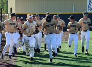 PREP BASEBALL: State playoffs set to begin this week