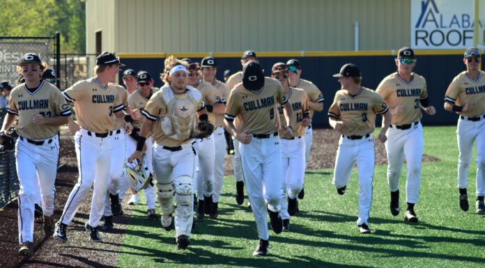 PREP BASEBALL: State playoffs set to begin this week