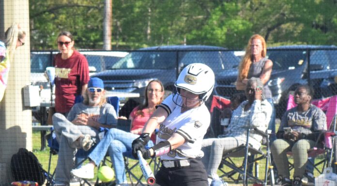 PREP SOFTBALL: Cullman handles Pinson Valley on senior night 11-1
