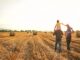 Alabama Extension’s commitment to sustaining for the future