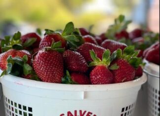 The sweet goodness of J. Calvert Farms