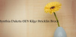 Obituary: Synthia Dakota (SD) Kilgo Stricklin Brock