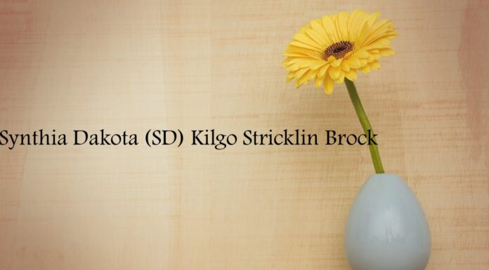 Obituary: Synthia Dakota (SD) Kilgo Stricklin Brock