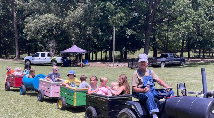 Baileyton set to host 3rd annual Family Fun Day