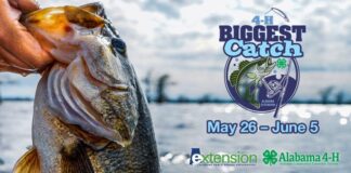 ACES: Kick off summer with the 4-H BIGGEST Catch contest