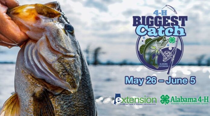 ACES: Kick off summer with the 4-H BIGGEST Catch contest