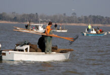 ADCNR: Deepwater Horizon settlement projects surpass $1B