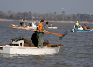 ADCNR: Deepwater Horizon settlement projects surpass $1B
