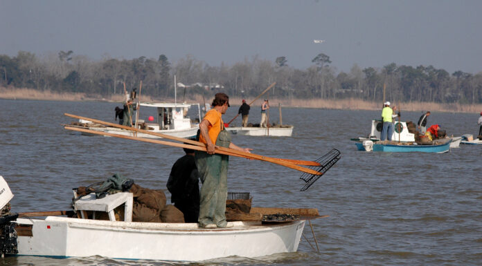 ADCNR: Deepwater Horizon settlement projects surpass $1B