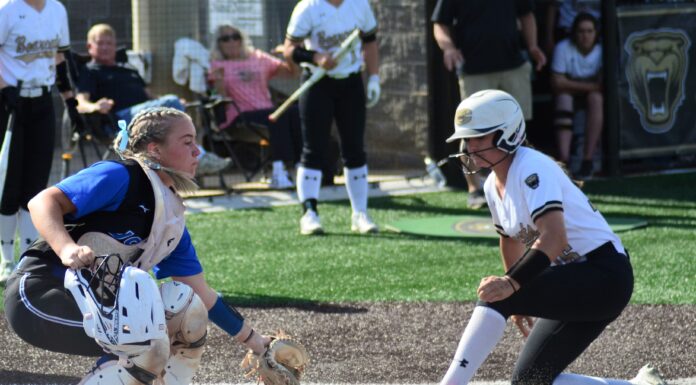 AREA SOFTBALL TOURNAMENTS: Lady Bearcats split with Mortimer Jordan, advance to North Regional