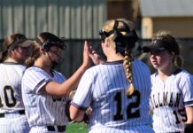 AREA SOFTBALL TOURNAMENTS: Lady Bearcats advance to Area Championship game with 13-1 win over Pinson Valley; Tuesday scoring recap