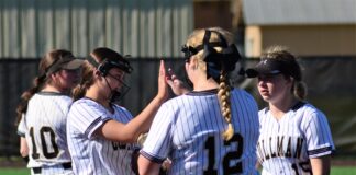 AREA SOFTBALL TOURNAMENTS: Lady Bearcats advance to Area Championship game with 13-1 win over Pinson Valley; Tuesday scoring recap