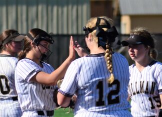 AREA SOFTBALL TOURNAMENTS: Lady Bearcats advance to Area Championship game with 13-1 win over Pinson Valley; Tuesday scoring recap