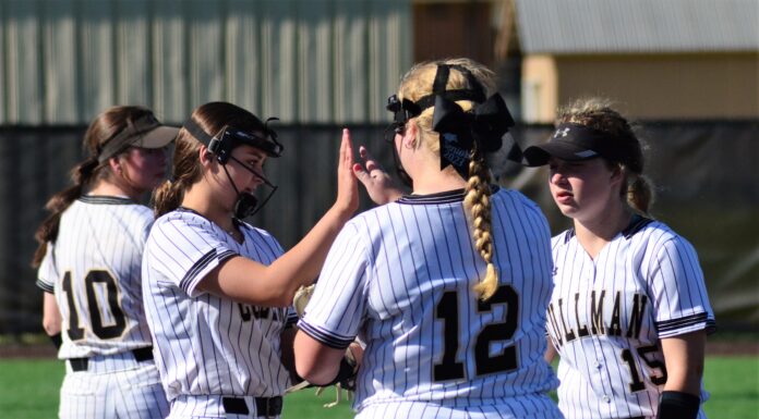 AREA SOFTBALL TOURNAMENTS: Lady Bearcats advance to Area Championship game with 13-1 win over Pinson Valley; Tuesday scoring recap