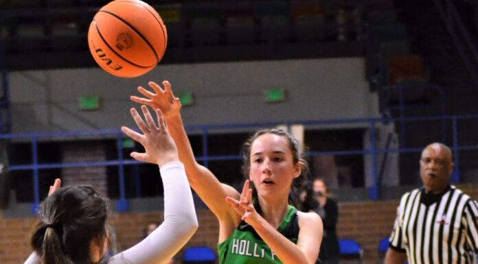 PREP SPORTS: ‘Be the best teammate I can be’: Holly Pond’s Alyssia Mitchell talks sophomore year