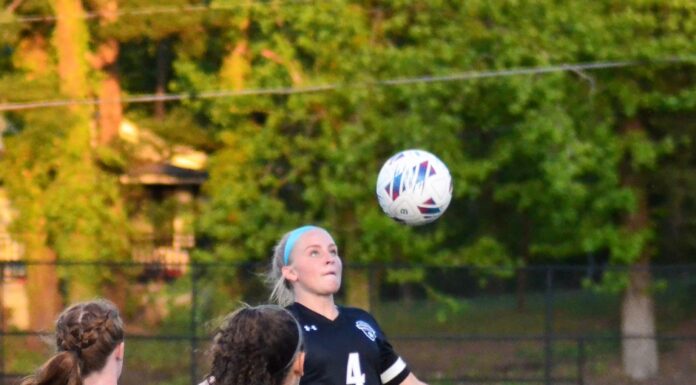 PREP SOCCER: Several local standouts earn All-State honors