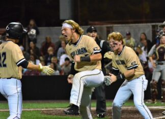 PREP BASEBALL PLAYOFFS: Bearcats advance to state semifinals with dramatic, 4-2 win over Gardendale