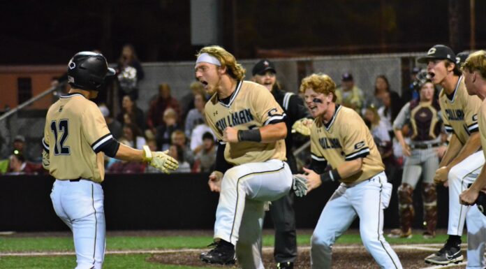 PREP BASEBALL PLAYOFFS: Bearcats advance to state semifinals with dramatic, 4-2 win over Gardendale