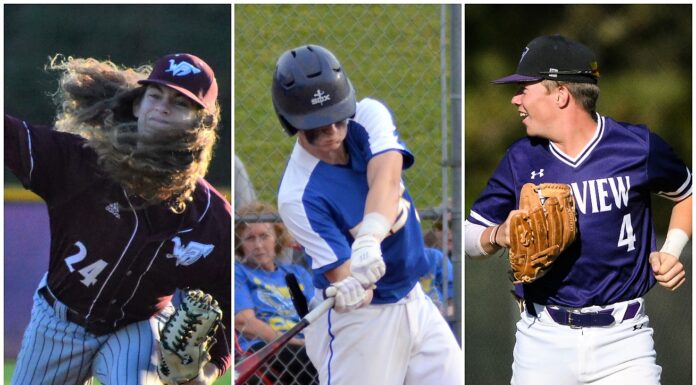 ALL-COUNTY BASEBALL: Cold Springs’ Bartlett named MVP; Freeman, West, Sutter, Voce earn top honors