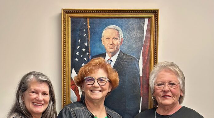 Cullman libraries celebrate National Library Week