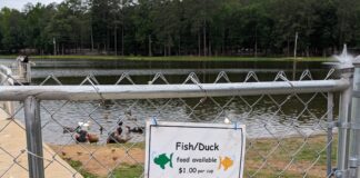 Commission responds to community concerns about Sportsman Lake ducks