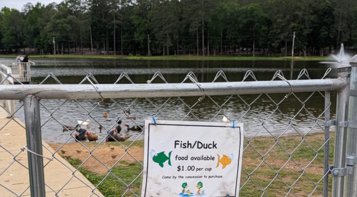 Commission responds to community concerns about Sportsman Lake ducks