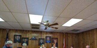 South Vinemont Council votes to annex properties