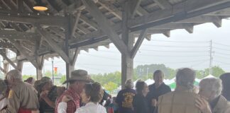 Seniors twist, twirl and dip at Strawberry Festival Senior Day