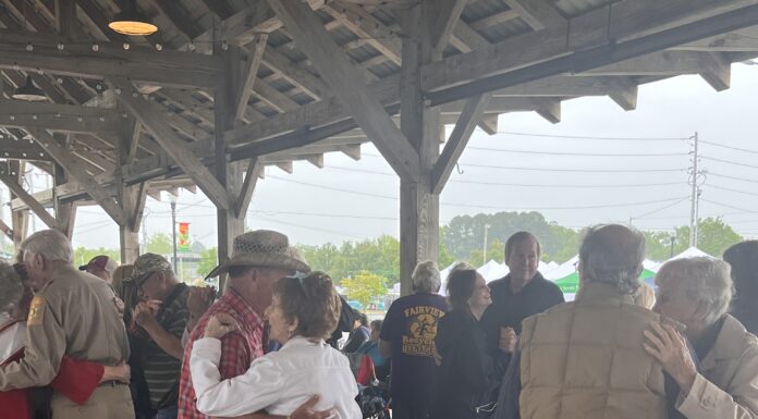 Seniors twist, twirl and dip at Strawberry Festival Senior Day