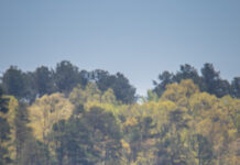 ADCNR: Free Fishing Day is June 10