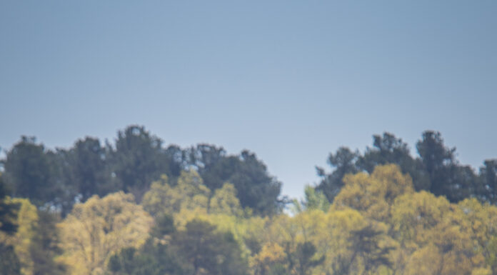 ADCNR: Free Fishing Day is June 10