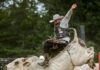 Bulls and broncs: ‘It’s a unique and fun event’